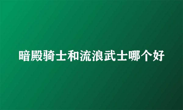 暗殿骑士和流浪武士哪个好