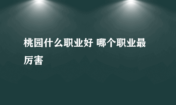 桃园什么职业好 哪个职业最厉害